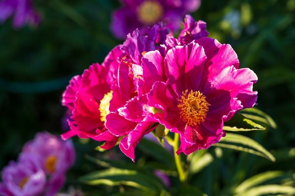 Greenzer : réduisez votre empreinte Écologique facilement